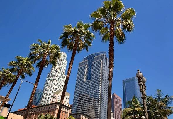 La downtown los angeles pershing square palm čka — Stock obrázek