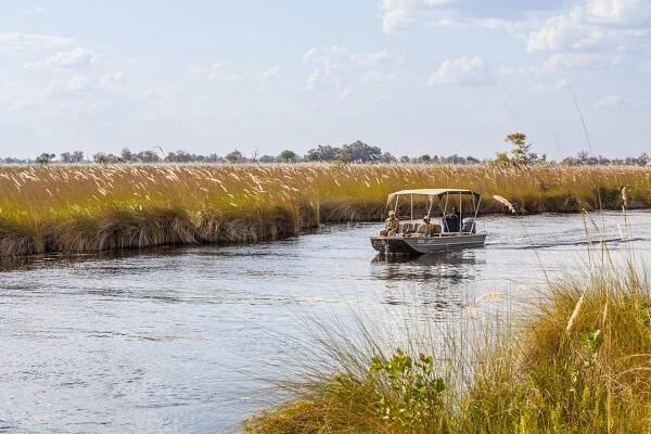 Flooded with life - Okavango Delta