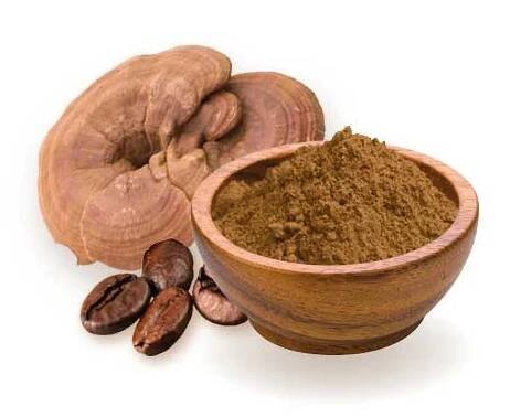 Ganoderma