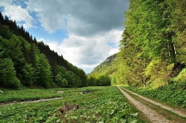 Túra: Bralnatá Gaderská dolina a hôľnatá Krížna | HIKING.SK