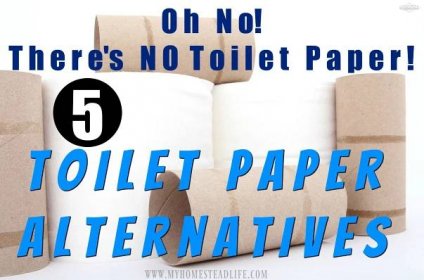 Oh No! There's NO Toilet Paper! 5 Toilet Paper Alternatives