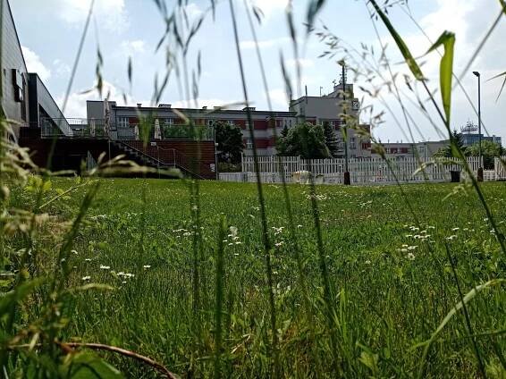Sportovní a rekreační areál Pražačka foto 3