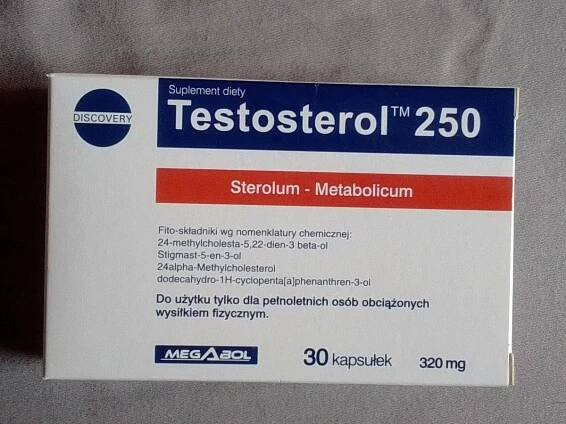 Testosterol 250 - Sport a turistika