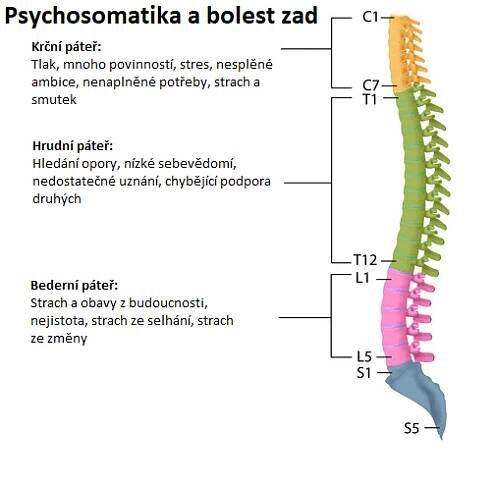 Psychosomatika a bolest zad: Vše, co byste měli vědět 3