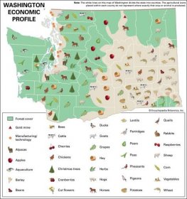 A map shows the different economic areas of Washington.