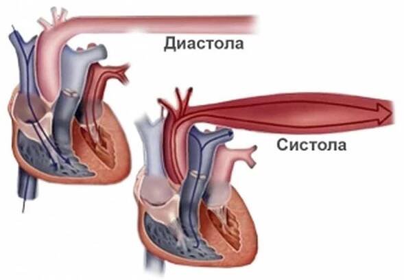 Symptomy hypertenzní krize, jak předcházet katastrofě / Články | Užitečné informace a tipy na péči o sebe. Zdraví, výživa