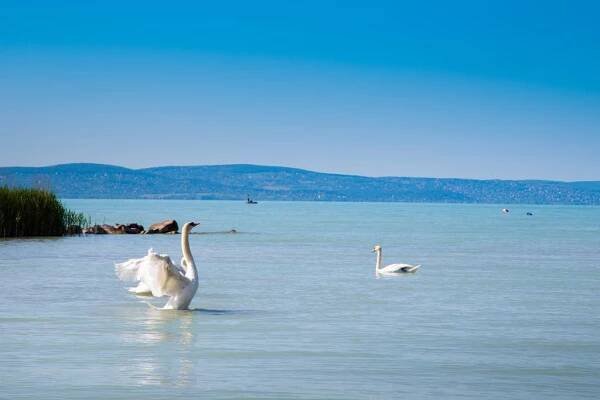 Apartmán Apartman Riva Siófok Pokoj fotografie