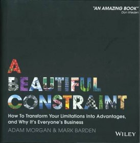 A-BEAUTIFUL-CONSTRAINT