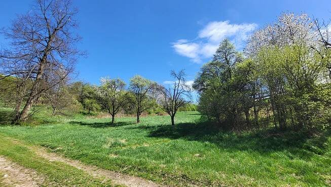 Olší, okres Brno-venkov