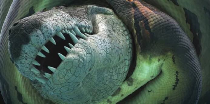 Titanoboa vs. krokodýl
