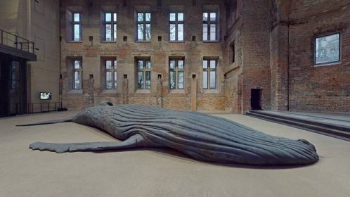 Soubor:Gil-Shachar The-Cast-Whale-Project 2021 Berlin front.jpg – Wikipedie