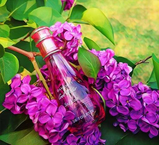 DAVIDOFF SEA ROSE EDT 100ML ORIGINÁL za 829.00CZK - Allegro