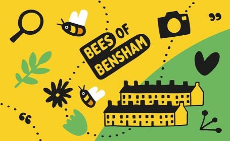 Bees of Bensham