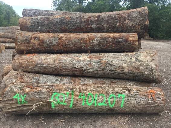 Photo Gallery - IVT Logs