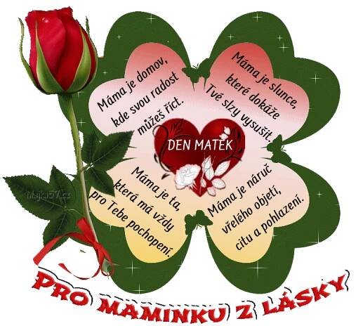 prani_k_svatku_matek_2