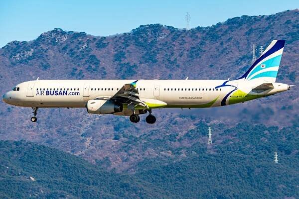 Air Busan Flight 391