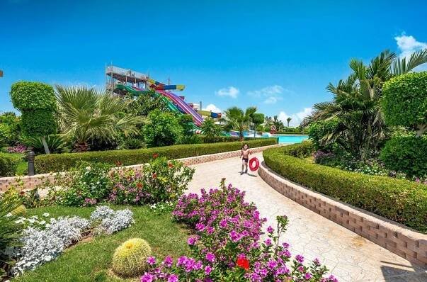 Hawaii Dreams - AVOCADO, travel agency 