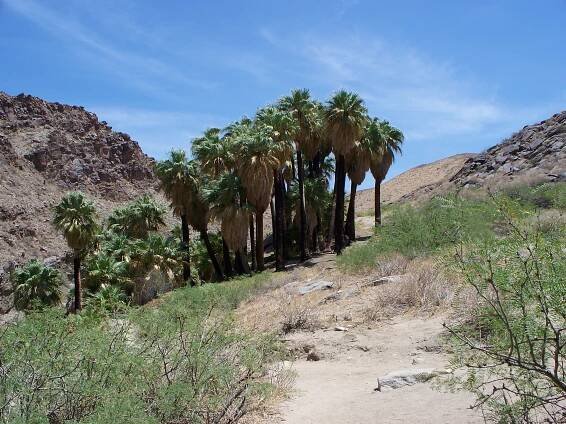 Santa Rosa and San Jacinto Mountains National Monument