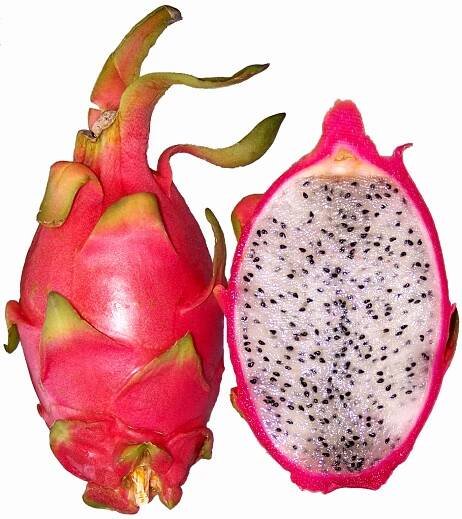 Dragon fruit