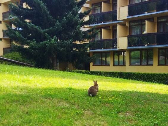 Hotel Harmonie II. foto 2