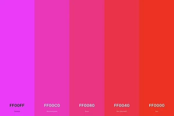 8. Magenta Red Color Palette Color Palette with Magenta (Hex #FF00FF) + Shocking Pink (Hex #FF00C0) + Rose (Hex #FF0080) + Red (Munsell) (Hex #FF0040) + Red (Hex #FF0000) Color Palette with Hex Codes