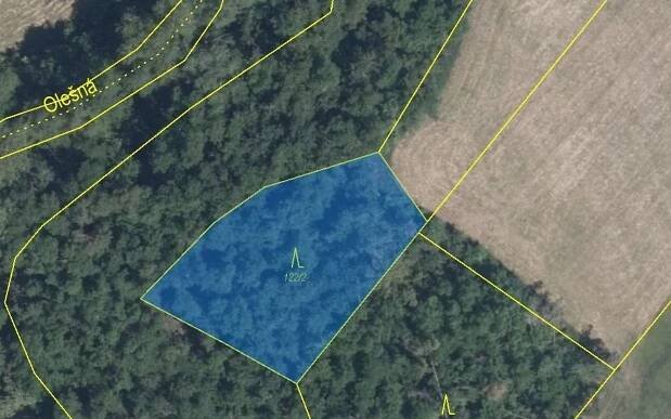 Lesy, Rouchovany, 1 620 m²