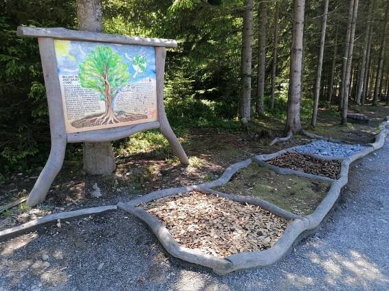 Království lesa – parádní lesní hřiště pro všechny hravé děti | PrimaVylety.cz