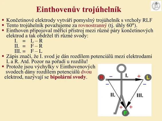 PPT - ELEKTROKARDIOGRAFIE PowerPoint Presentation, free download - ID:7040613