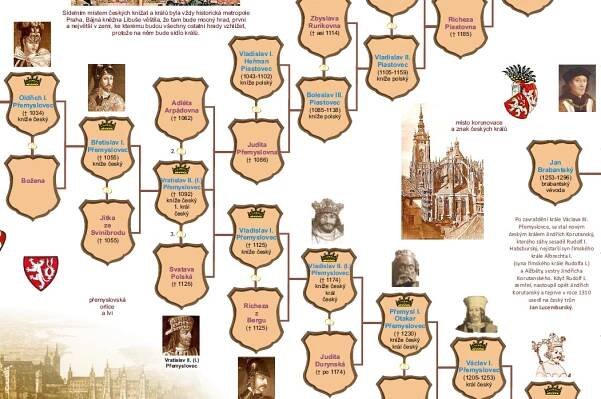 Historická šlechta › Je herec Tom Cruise potomek Přemyslovců?