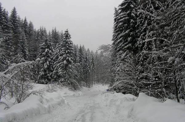Lysá pod Makytou, Slovakia