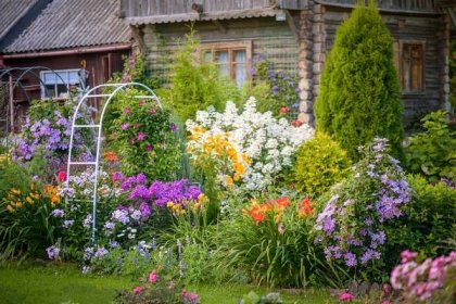 krásná okrasná zahrada (dům) - garden - stock snímky, obrázky a fotky
