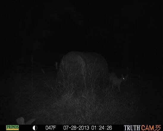 HAY BALE BLIND PHOTOS - Prairie Hunting Blinds