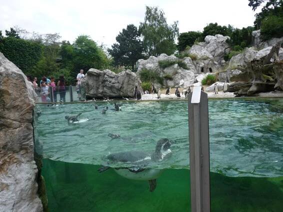 Tiergarten Schönbrunn-Zoo Wien, Tipy na výlet