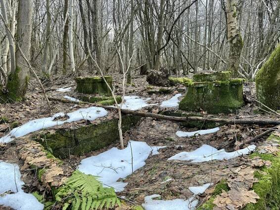 Jestřabí: Zaniklá obec ve vojenském újezdu Libavá skrývá tajemnou historii