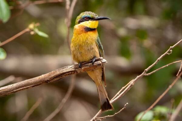 TRAVELLING Tanzania - Faces and Feelings