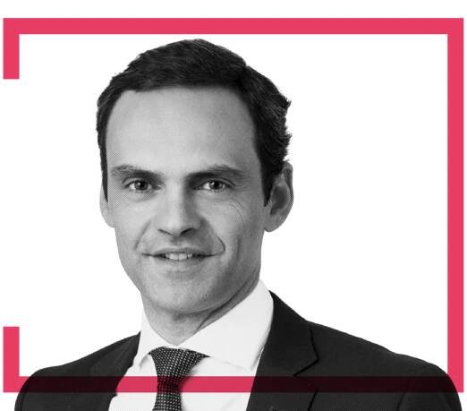 Partners - The Legal Industry