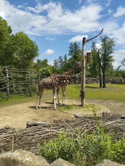 ZOO Plzeň- 1.část - MŠ Duhová Habartov