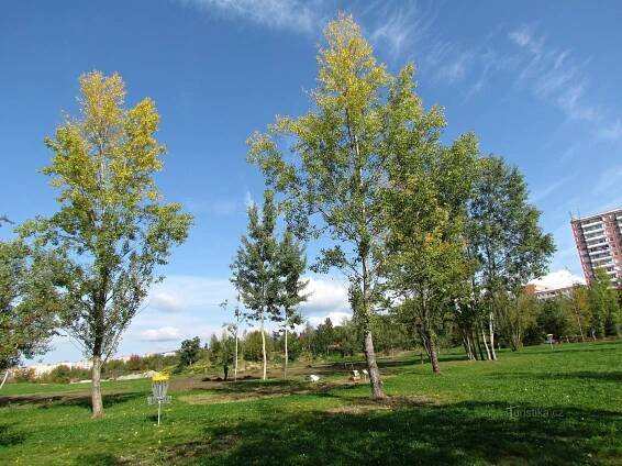 Zlín - Centrální park