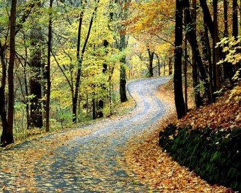 Podzimní cesta Tennessee