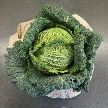 BIO hlávková kapusta, min. 1,4 kg