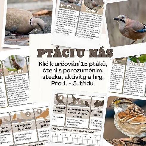 Ptáci u nás
