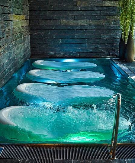 Vstup do Spa & Wellness 1+1 - Čapí Hnízdo