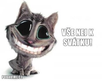 an image of a cat that is smiling with the caption continue sorindo