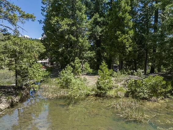10000 Placer Road | Wolf Creek, OR – Anne Mikael