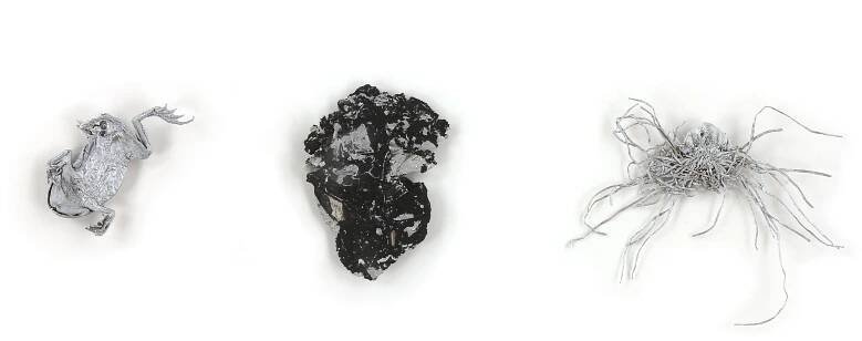   Untitled.  Specimens found on sidewalk, aluminum paint, 4 x 11 inches, 2017. 