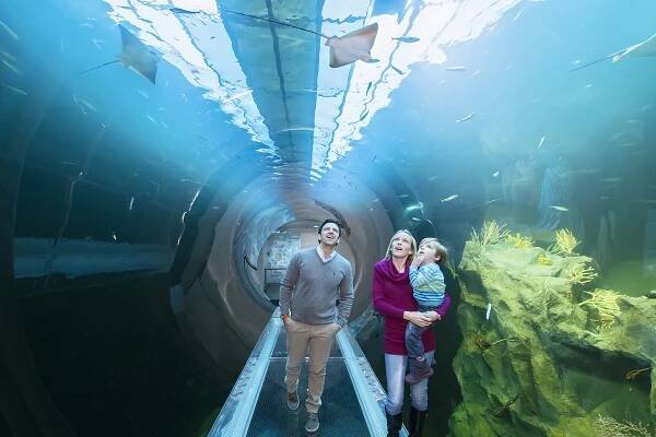Wien Haus des Meeres - Aqua Terra Zoo
