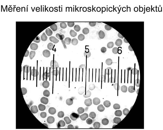 Měření velikosti mikroskopických objektů 