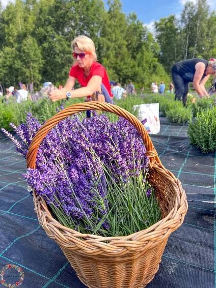 Čarovná lúka - Garden centrum Záhradníci