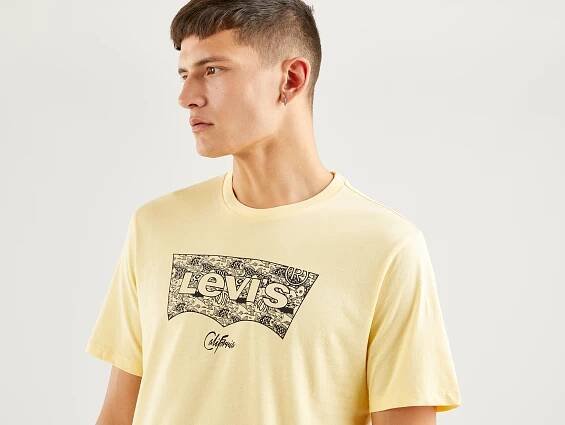 Pánské tričko Levi's® HOUSEMARK GRAPHIC TEE SSNL HM 2248903210