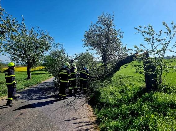 V obci Kočí spadl strom na dodávku. Silný vítr vyvrátil strom také v chrudimské místní částí Topol - novinychrudim